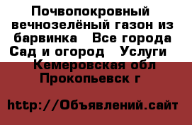 Почвопокровный, вечнозелёный газон из барвинка - Все города Сад и огород » Услуги   . Кемеровская обл.,Прокопьевск г.